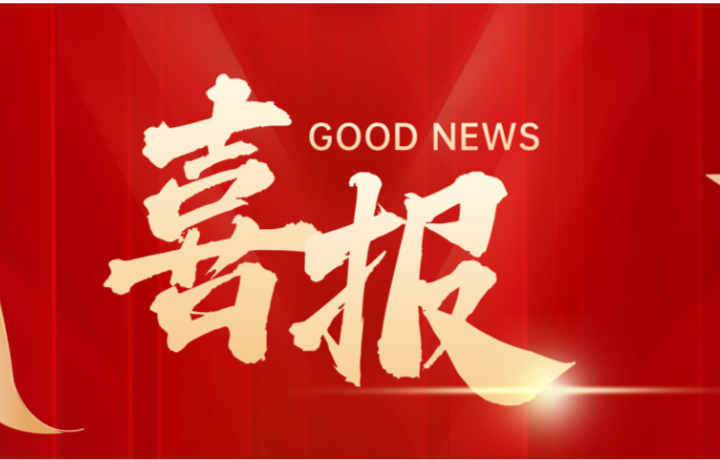 喜報(bào)！我司入選2024年第一批制造業(yè)單項(xiàng)冠軍培育企業(yè)名單